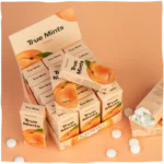 True Mints Pastilles - suikervrij - Afbeelding 3