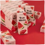 True Mints Pastilles - suikervrij - Afbeelding 2